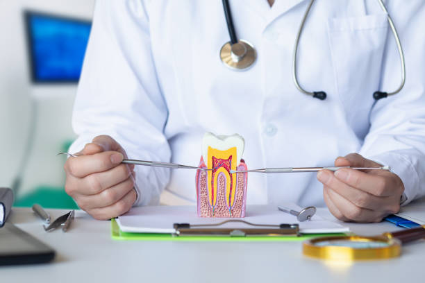 Best Emergency Dentist for Lost Fillings or Crowns in Kahoka, MO